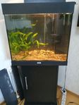 Akvarium 