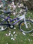 damm/barn cykel