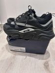 DIOR B22S