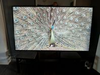 Samsung 82" Professionell TV Skärm. 