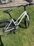 Cresent Mist 26" 7-vxl