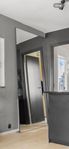 Stor spegel/ Big mirror 120 cm x 232 cm 