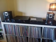 Marantz PM6004 Dali Lektor 