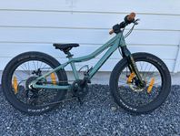 Scott Roxter 20”