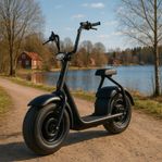 fatscooter 1000w