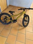 Bergamont cykel 20tum guld