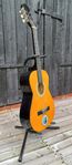 Akustisk gitarr 
