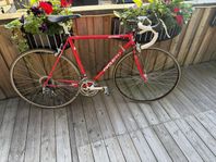 Optima CYCLEPRO racer 