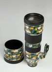 Sony 200/600mm f 5.6-6.3