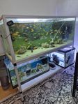 akvarium 222l