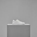 Sneakers, 43