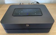 Bluesound Powernode (N330)