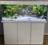 240L aktivitet/ akvarium komplett 