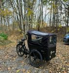 Cargobike Flex 