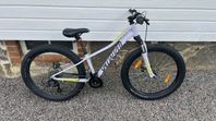 Mountainbike Specialized Riprock 24”