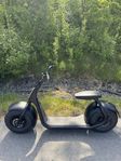 Fatscooter