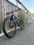 MTB