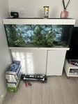 Akvarium Juwel Lido 240 liter