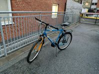 Mountainbike Herr