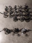 Age of Sigmar Miniatures