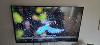 LG 4K TV 55 Tum