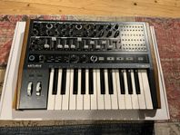 Arturia Minibrute 2