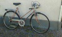 Damcyckel Nordic. 5-vxl.