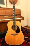 LEVIN LT-18, 1967. Gitarr med case
