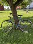 Rex herrcykel 