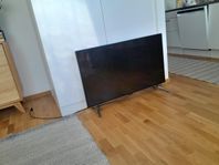 Tv 43 tum