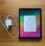 iPad Pro 12.9" (2nd gen) – 512 GB – WiFi + Skal & Laddar