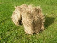 Höbalar
