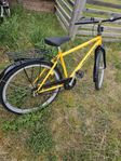 Herr cykel 