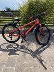 Mountainbike White 24