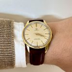 Omega Seamaster 
