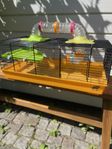 Hamsterbur med tillbehör 
