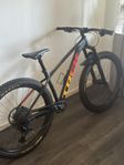 Trek Roscoe 8