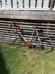Rossin vintage racer, 12 växlar
