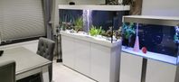 Juwel 450 l komplett 