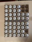 prov1 (2023)