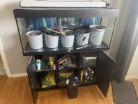 akvarium