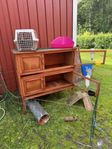Kaninbur och tillbehör!