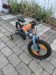 Scott roxter 14” pirat