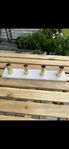 ljusstake 
