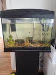 Akvarium 