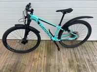 Bianchi Magma 9S 29”