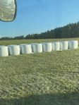 Hösilage