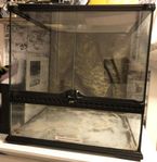 Terrarium , Större modell