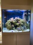 Saltvattenskvarium