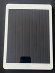 iPad Air 1st Gen